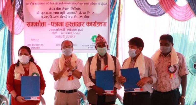 मेगा बैंकले सहकारीलाई सहुलियत कर्जा दिने